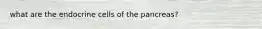 what are the endocrine cells of the pancreas?