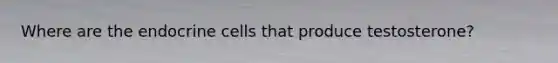 Where are the endocrine cells that produce testosterone?