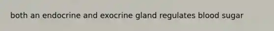 both an endocrine and exocrine gland regulates blood sugar