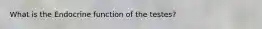 What is the Endocrine function of the testes?