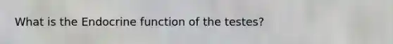What is the Endocrine function of the testes?