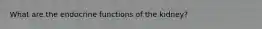 What are the endocrine functions of the kidney?