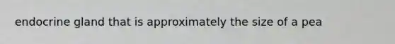 endocrine gland that is approximately the size of a pea