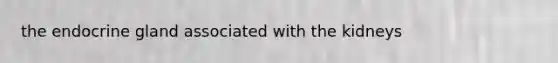 the endocrine gland associated with the kidneys