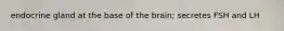 endocrine gland at the base of the brain; secretes FSH and LH