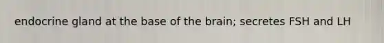 endocrine gland at the base of the brain; secretes FSH and LH