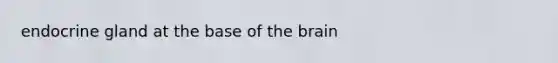 endocrine gland at the base of <a href='https://www.questionai.com/knowledge/kLMtJeqKp6-the-brain' class='anchor-knowledge'>the brain</a>