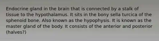 Endocrine gland in the brain that is connected by a stalk of tissue to the hypothalamus. It sits in the bony sella turcica of the sphenoid bone. Also known as the hypophysis. It is known as the master gland of the body. It consists of the anterior and posterior (halves?)