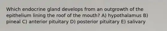 Which endocrine gland develops from an outgrowth of the epithelium lining the roof of the mouth? A) hypothalamus B) pineal C) anterior pituitary D) posterior pituitary E) salivary