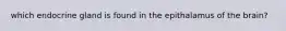 which endocrine gland is found in the epithalamus of the brain?