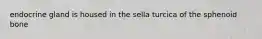 endocrine gland is housed in the sella turcica of the sphenoid bone