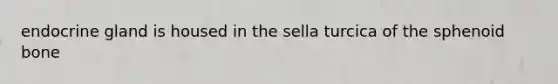 endocrine gland is housed in the sella turcica of the sphenoid bone