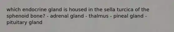 which endocrine gland is housed in the sella turcica of the sphenoid bone? - adrenal gland - thalmus - pineal gland - pituitary gland