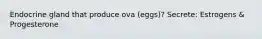 Endocrine gland that produce ova (eggs)? Secrete: Estrogens & Progesterone