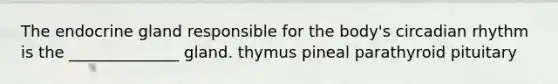 The endocrine gland responsible for the body's circadian rhythm is the ______________ gland. thymus pineal parathyroid pituitary