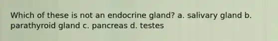 Which of these is not an endocrine gland? a. salivary gland b. parathyroid gland c. pancreas d. testes