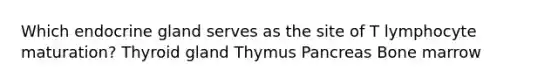 Which endocrine gland serves as the site of T lymphocyte maturation? Thyroid gland Thymus Pancreas Bone marrow