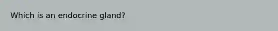 Which is an endocrine gland?