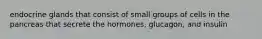 endocrine glands that consist of small groups of cells in the pancreas that secrete the hormones, glucagon, and insulin