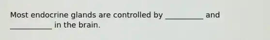 Most endocrine glands are controlled by __________ and ___________ in the brain.