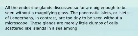 All the endocrine glands discussed so far are big enough to be seen without a magnifying glass. The pancreatic islets, or islets of Langerhans, in contrast, are too tiny to be seen without a microscope. These glands are merely little clumps of cells scattered like islands in a sea among