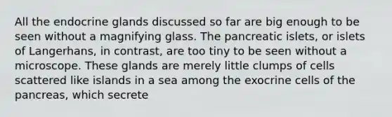 All the endocrine glands discussed so far are big enough to be seen without a magnifying glass. The pancreatic islets, or islets of Langerhans, in contrast, are too tiny to be seen without a microscope. These glands are merely little clumps of cells scattered like islands in a sea among the exocrine cells of the pancreas, which secrete