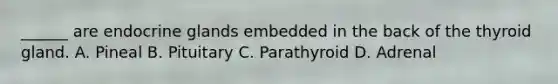 ______ are endocrine glands embedded in the back of the thyroid gland. A. Pineal B. Pituitary C. Parathyroid D. Adrenal