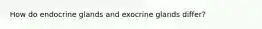 How do endocrine glands and exocrine glands differ?