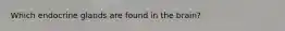 Which endocrine glands are found in the brain?