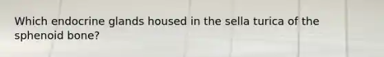 Which endocrine glands housed in the sella turica of the sphenoid bone?