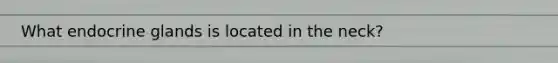 What endocrine glands is located in the neck?