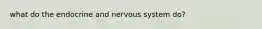 what do the endocrine and nervous system do?