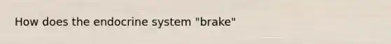 How does the endocrine system "brake"