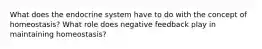 What does the endocrine system have to do with the concept of homeostasis? What role does negative feedback play in maintaining homeostasis?