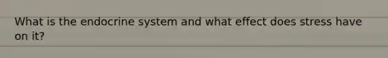 What is the endocrine system and what effect does stress have on it?