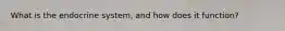 What is the endocrine system, and how does it function?