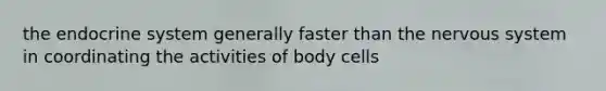 the endocrine system generally faster than the nervous system in coordinating the activities of body cells