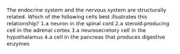 The endocrine system and the nervous system are structurally related. Which of the following cells best illustrates this relationship? 1.a neuron in the spinal cord 2.a steroid-producing cell in the adrenal cortex 3.a neurosecretory cell in the hypothalamus 4.a cell in the pancreas that produces digestive enzymes