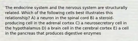 The endocrine system and the nervous system are structurally related. Which of the following cells best illustrates this relationship? A) a neuron in <a href='https://www.questionai.com/knowledge/kkAfzcJHuZ-the-spinal-cord' class='anchor-knowledge'>the spinal cord</a> B) a steroid-producing cell in the adrenal cortex C) a neurosecretory cell in the hypothalamus D) a brain cell in the cerebral cortex E) a cell in the pancreas that produces <a href='https://www.questionai.com/knowledge/kK14poSlmL-digestive-enzymes' class='anchor-knowledge'>digestive enzymes</a>