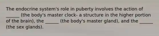 The endocrine system's role in puberty involves the action of ______ (the body's master clock- a structure in the higher portion of the brain), the ______ (the body's master gland), and the ______ (the sex glands).