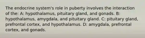 The endocrine system's role in puberty involves the interaction of the: A: hypothalamus, pituitary gland, and gonads. B: hypothalamus, amygdala, and pituitary gland. C: pituitary gland, prefrontal cortex, and hypothalamus. D: amygdala, prefrontal cortex, and gonads.