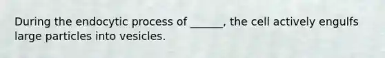 During the endocytic process of ______, the cell actively engulfs large particles into vesicles.