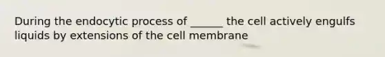 During the endocytic process of ______ the cell actively engulfs liquids by extensions of the cell membrane