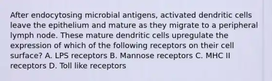 After endocytosing microbial antigens, activated dendritic cells leave the epithelium and mature as they migrate to a peripheral lymph node. These mature dendritic cells upregulate the expression of which of the following receptors on their cell surface? A. LPS receptors B. Mannose receptors C. MHC II receptors D. Toll like receptors