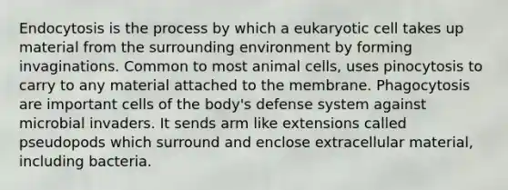 Endocytosis is the process by which a eukaryotic cell takes up material from the surrounding environment by forming invaginations. Common to most animal cells, uses pinocytosis to carry to any material attached to the membrane. Phagocytosis are important cells of the body's defense system against microbial invaders. It sends arm like extensions called pseudopods which surround and enclose extracellular material, including bacteria.