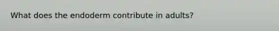 What does the endoderm contribute in adults?