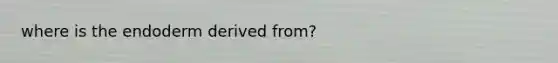where is the endoderm derived from?