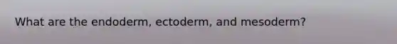 What are the endoderm, ectoderm, and mesoderm?