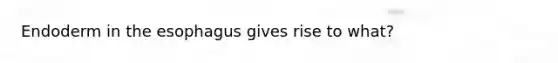 Endoderm in the esophagus gives rise to what?