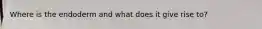 Where is the endoderm and what does it give rise to?
